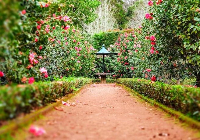 Nurseries & Gardens